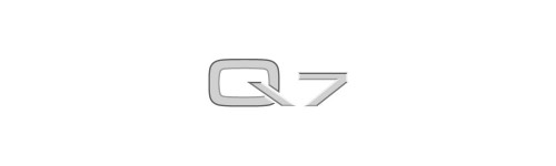 Q7 3.0TDi Quattro V6 (BUN engine) 3/06-11/07 (1st cat)